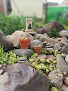 rock garden