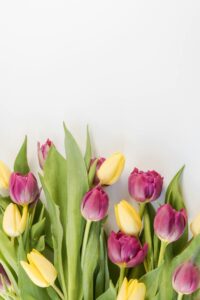 tulp boeket
